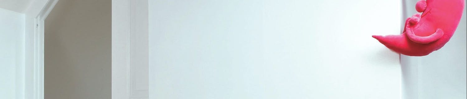 Skjult skyvedør under skråtaket